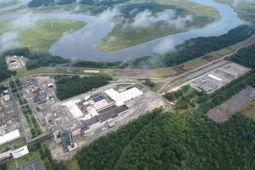 3300 Cypress Gardens Road  photo 4