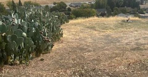 4160 Quail Hill Ct, Ione, CA 95640 Photo