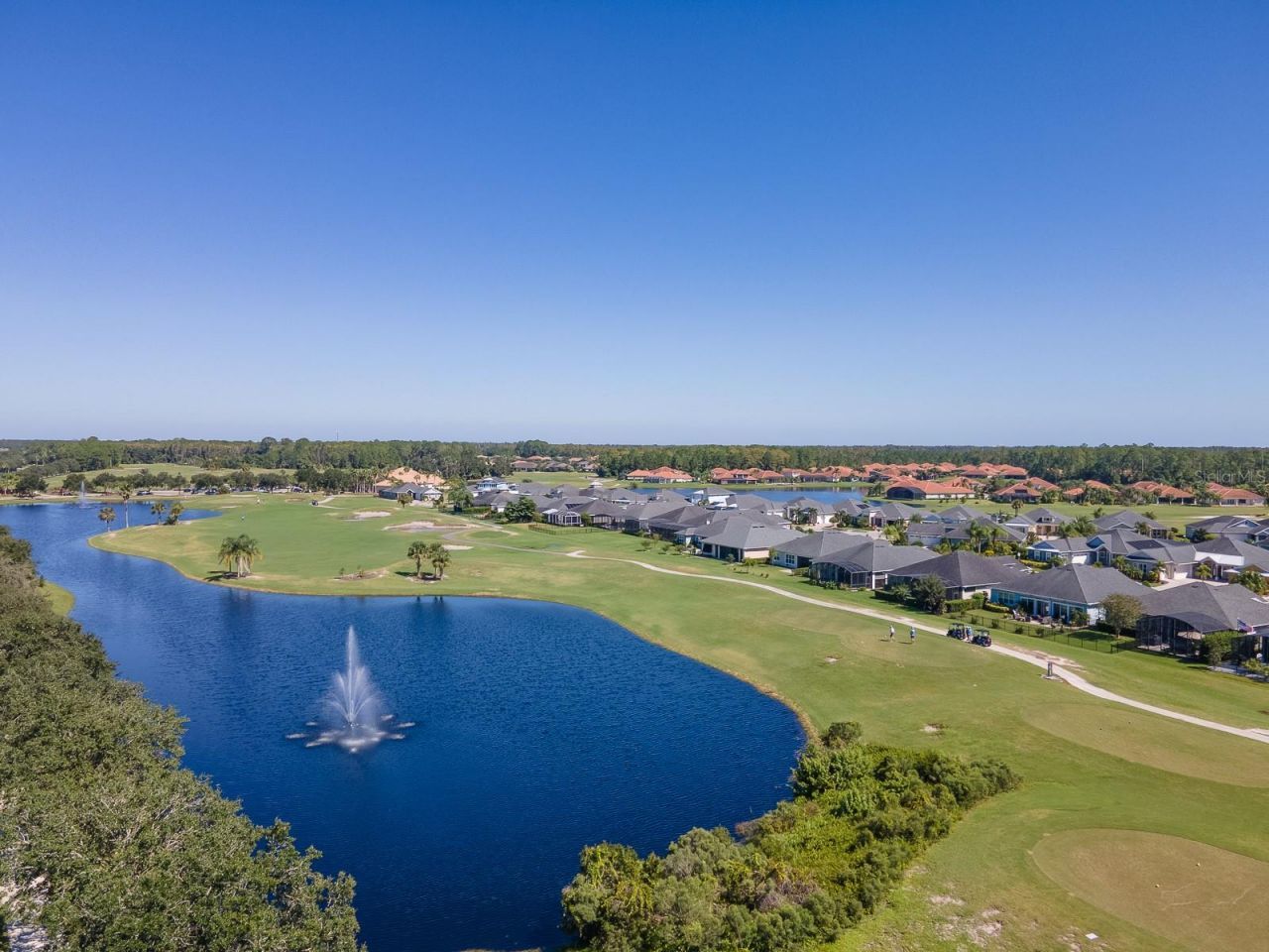 3106 Borassus Drive, New Smyrna Beach, FL 32168 Photo