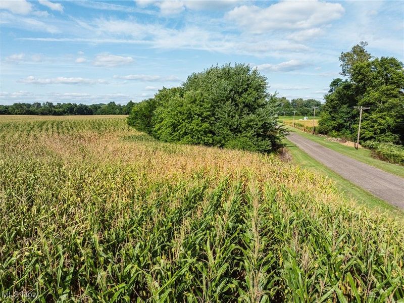 Lock 17 Road SE, Gnadenhutten, OH 44629 Photo 3