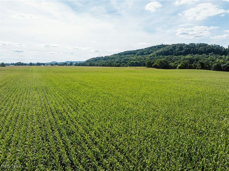 Lock 17 Road SE, Gnadenhutten, OH 44629 Photo 6