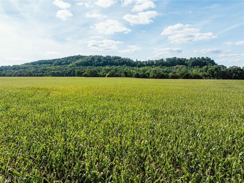 Lock 17 Road SE, Gnadenhutten, OH 44629 Photo 5