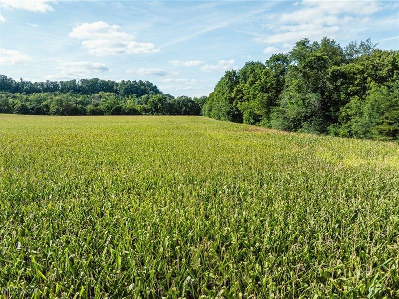 Lock 17 Road SE, Gnadenhutten, OH 44629 Photo 6