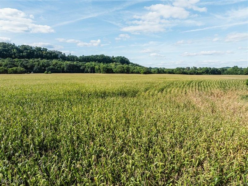 Lock 17 Road SE, Gnadenhutten, OH 44629 Photo 7