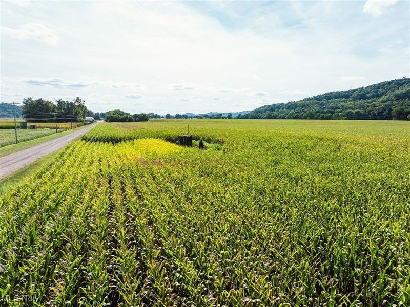 Lock 17 Road SE, Gnadenhutten, OH 44629 Photo 5