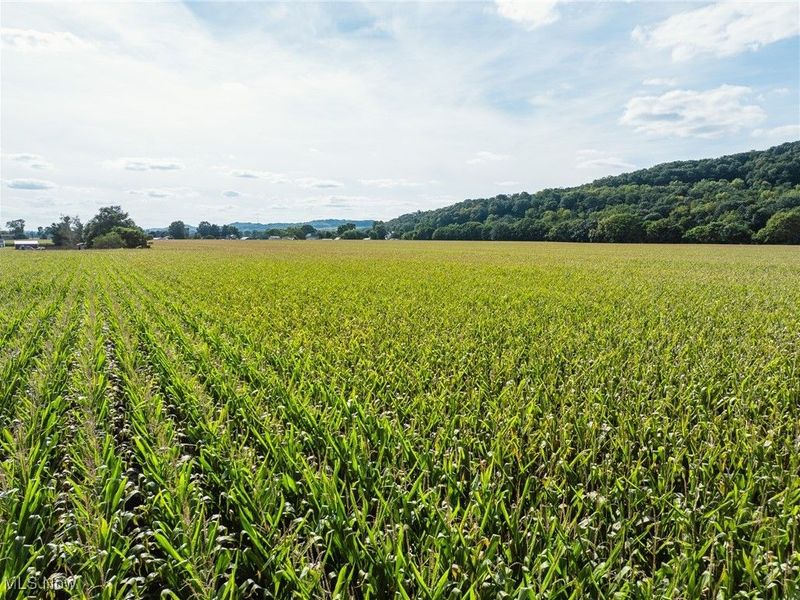 Lock 17 Road SE, Gnadenhutten, OH 44629 Photo 3