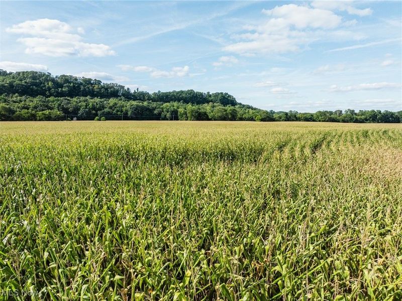 Lock 17 Road SE, Gnadenhutten, OH 44629 Photo 6