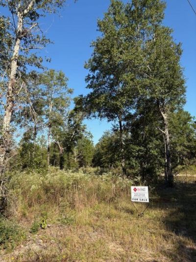 Lot 48 Howlin Road, Defuniak Springs, FL 32433 Main Photo