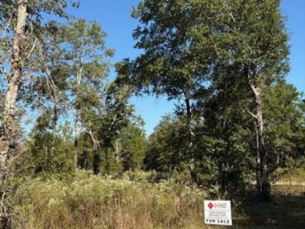 Lot 48 Howlin Road, DeFuniak Springs, FL 32433