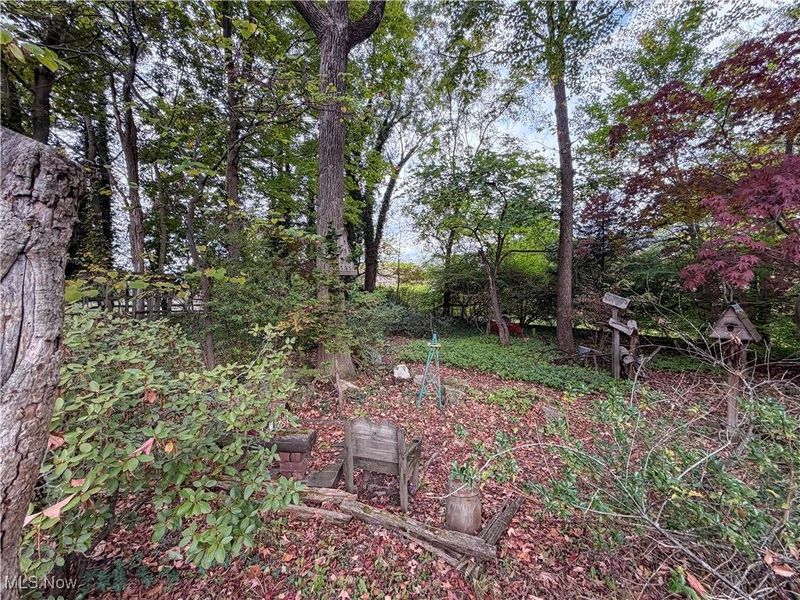 124 Wadsworth Street, Canfield, OH 44406 Photo 23