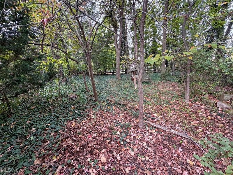 124 Wadsworth Street, Canfield, OH 44406 Photo 24