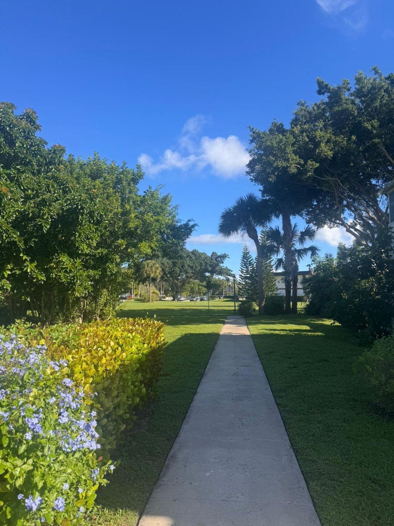 141 West Court, Royal Palm Beach, FL 33411 Photo