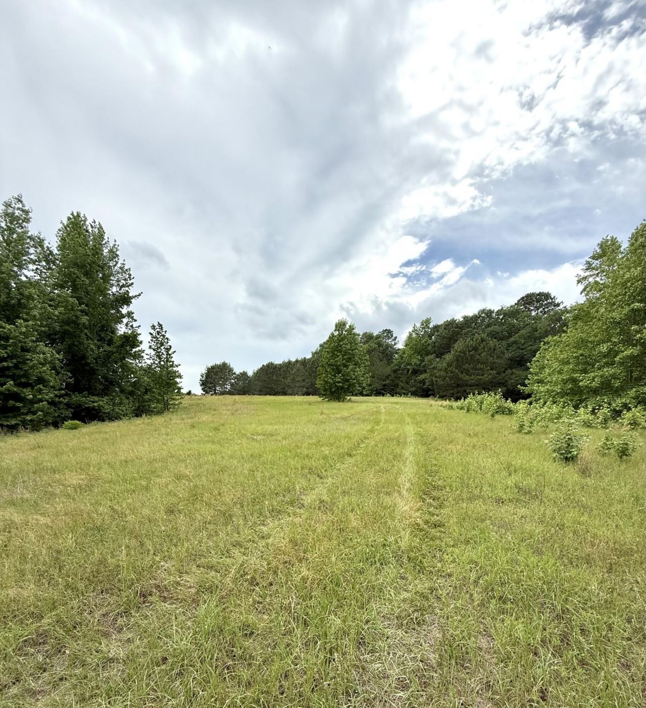 Tbd Fort Motte Road Photo 11