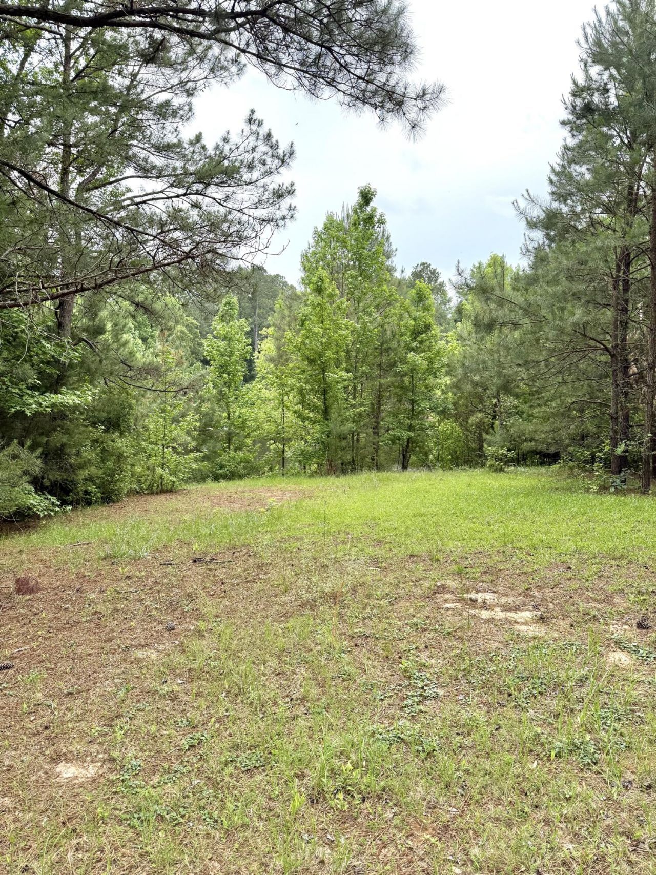 Tbd Fort Motte Road Photo 12