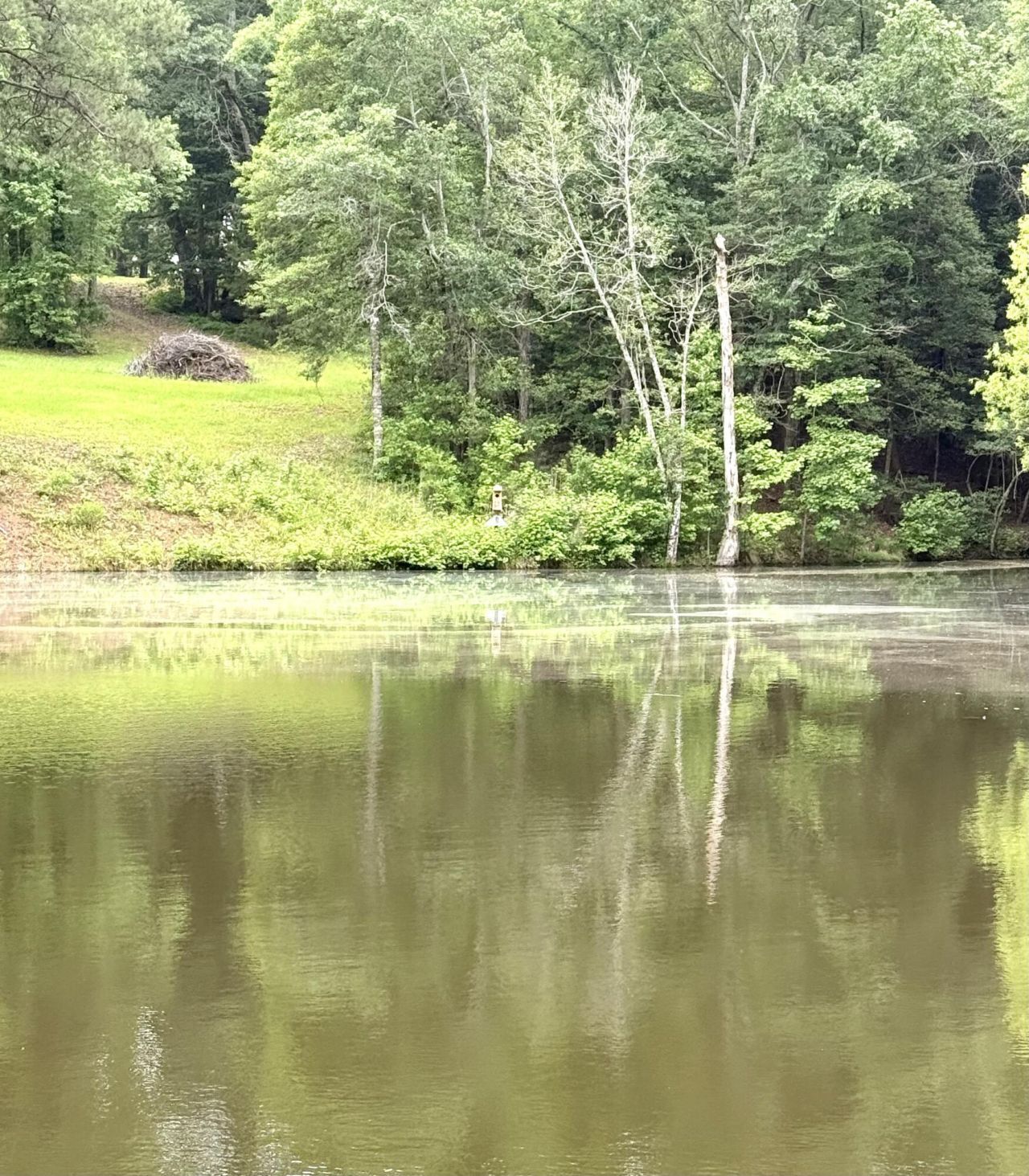 Tbd Fort Motte Road Photo 2