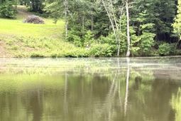 Tbd Fort Motte Road photo 4