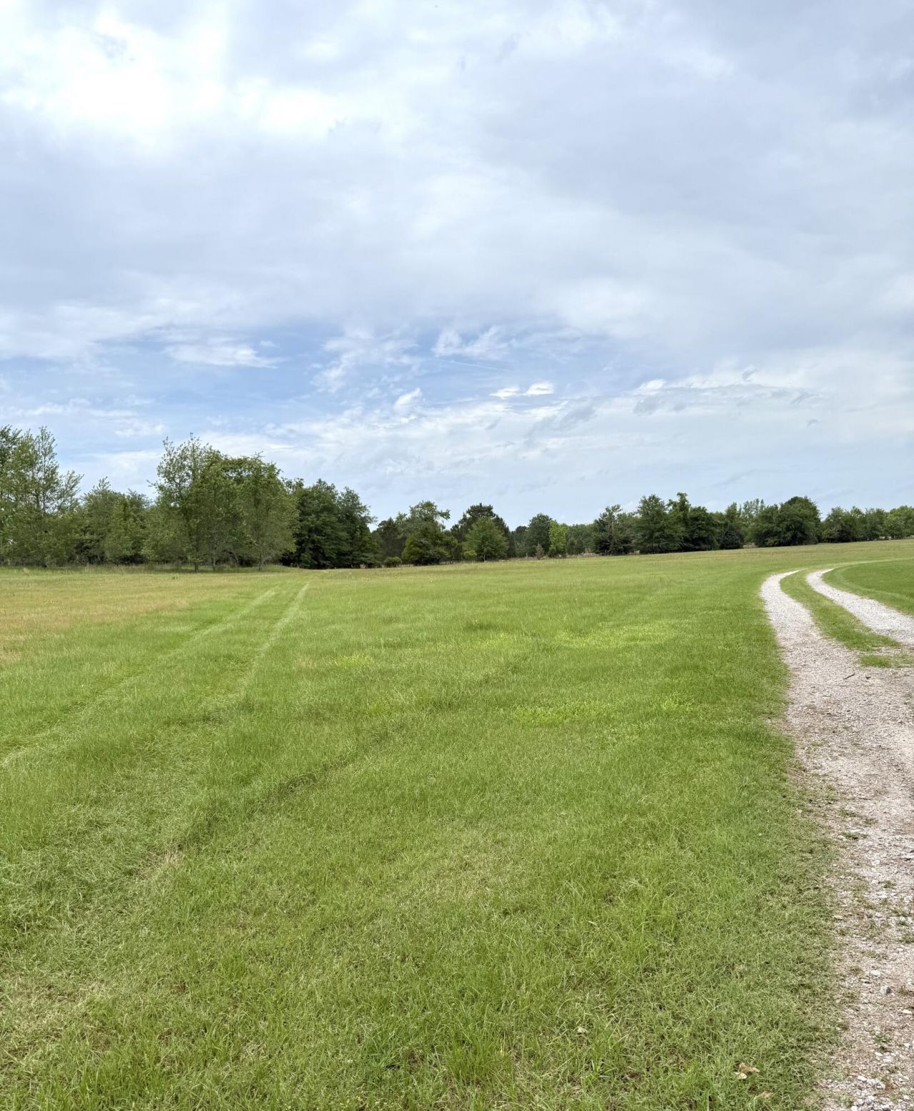 Tbd Fort Motte Road Photo 5