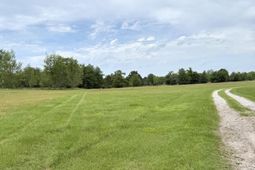 Tbd Fort Motte Road photo 4