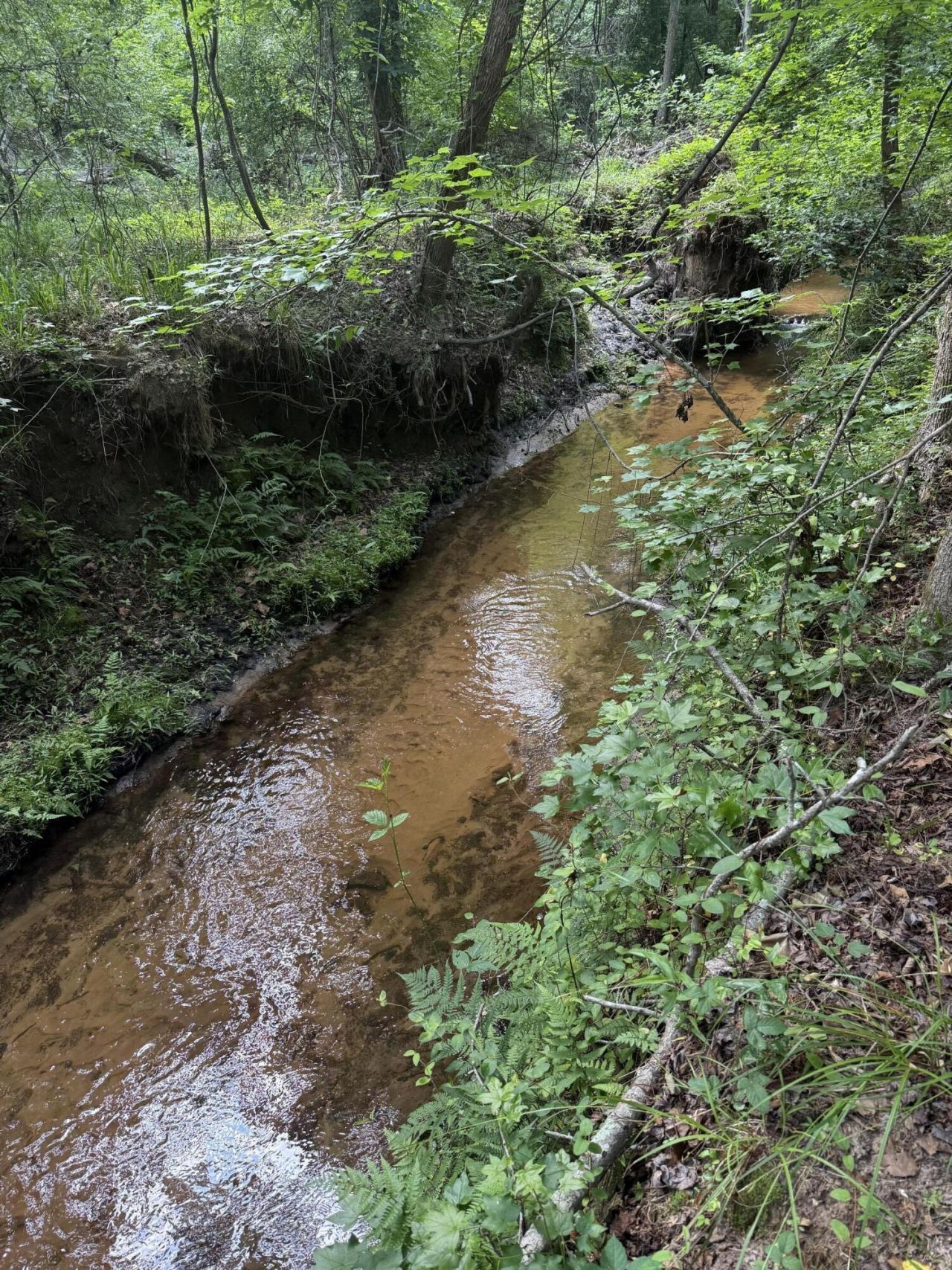 Tbd Fort Motte Road Photo 6