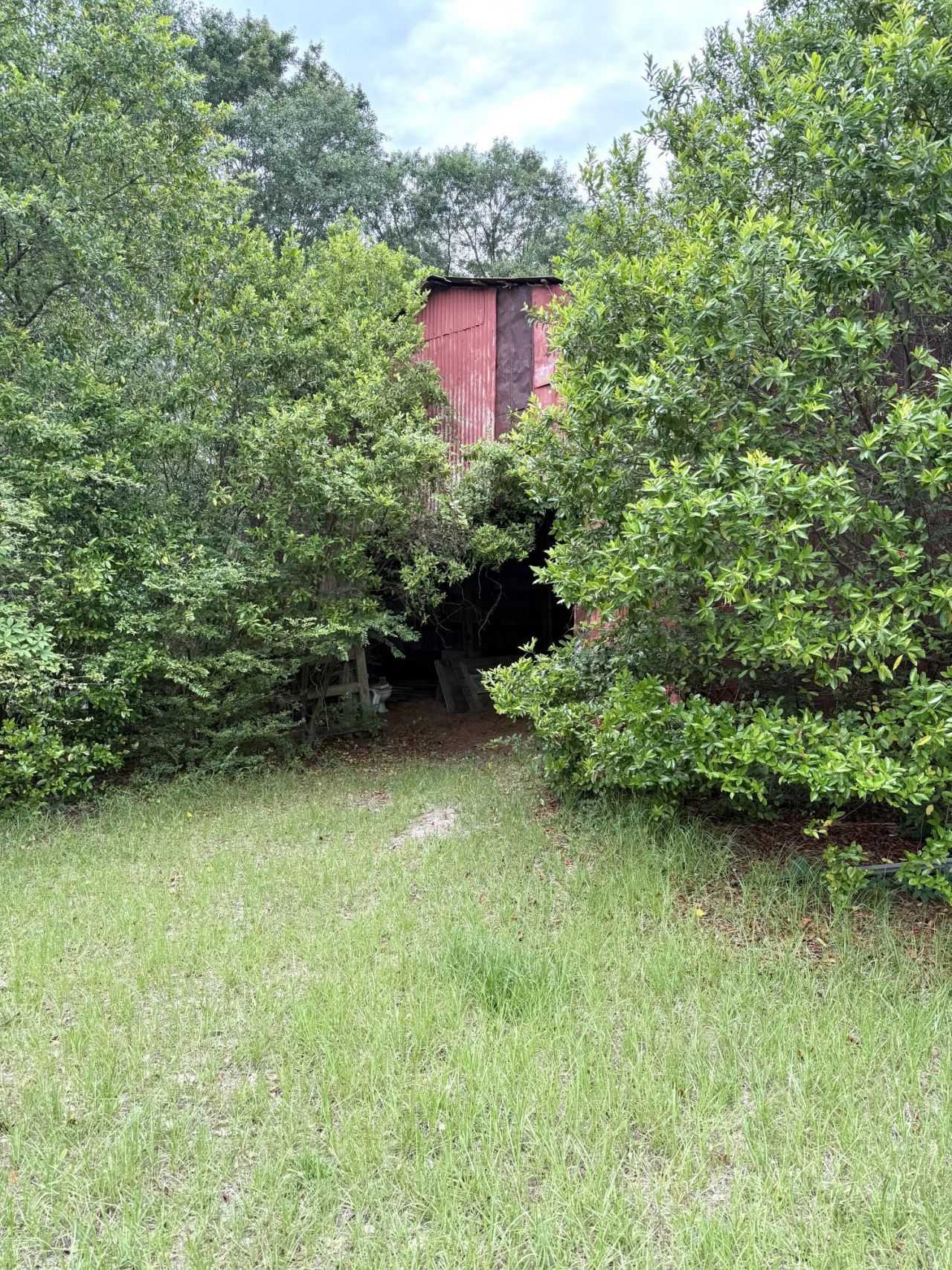 Tbd Fort Motte Road Photo 7