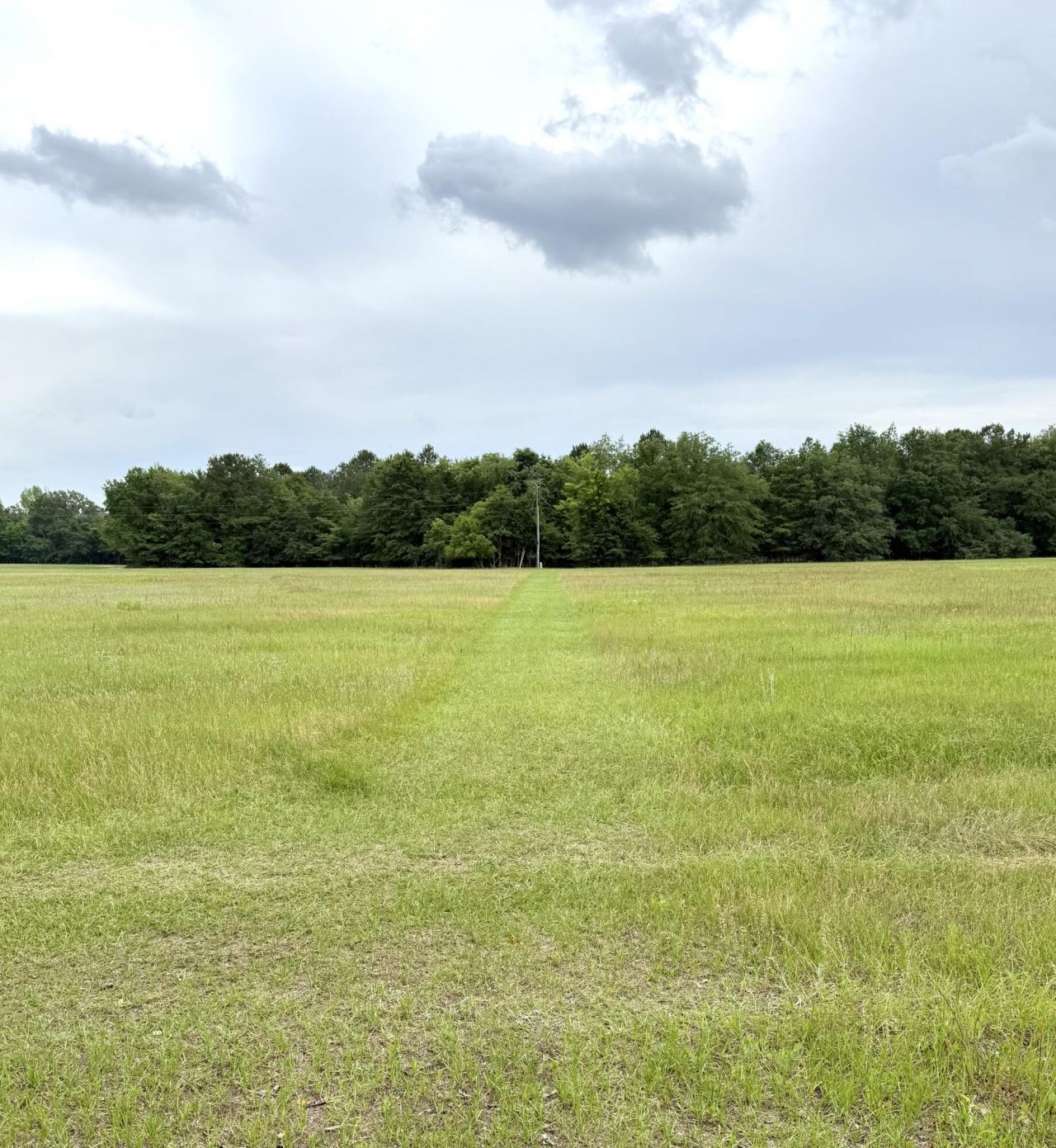 Tbd Fort Motte Road Photo 9