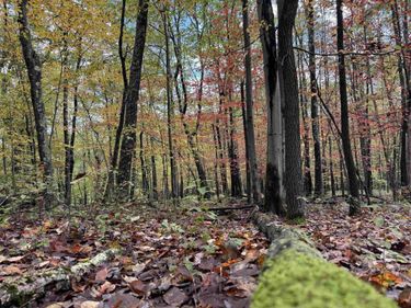 Lot 175 Aster Drive, Terra Alta, WV 26764