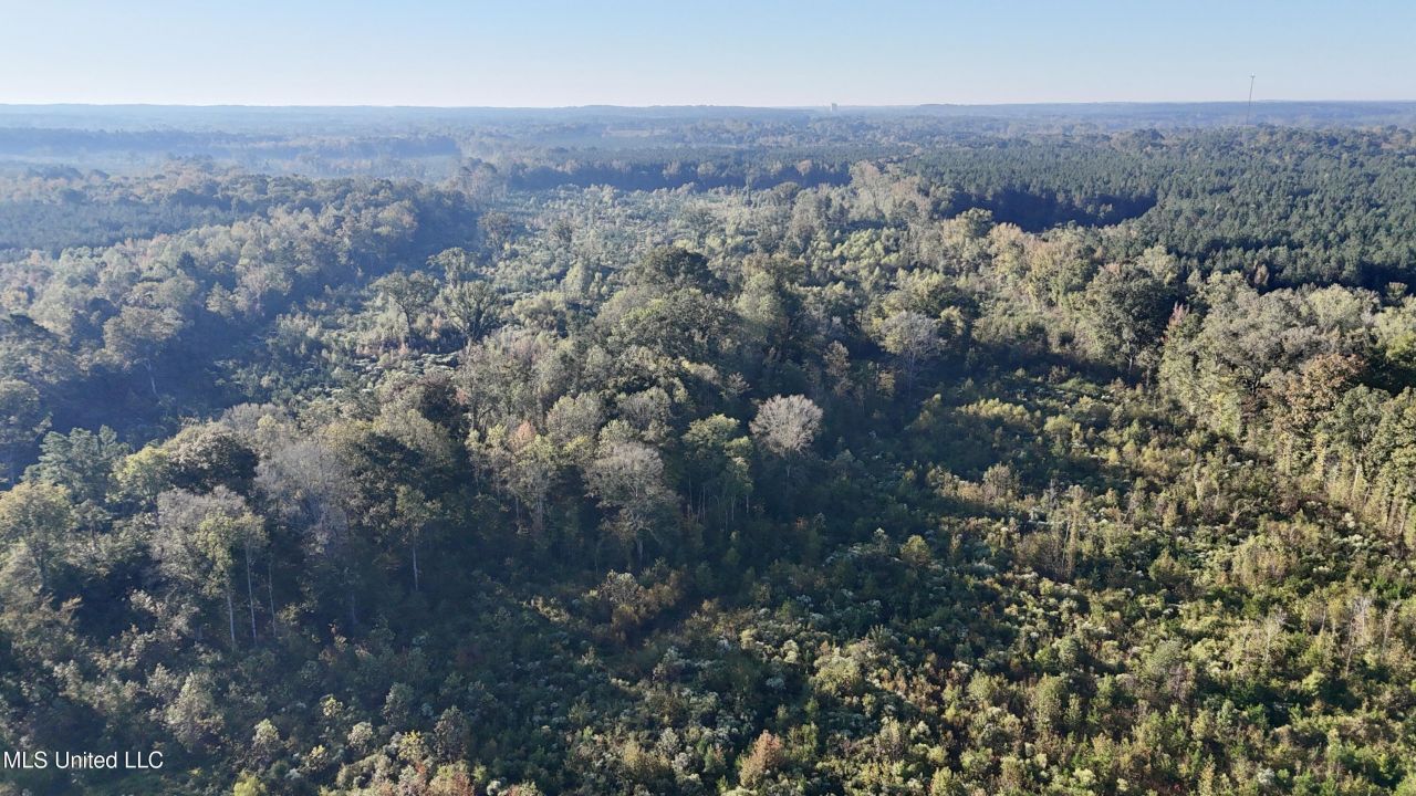 Hwy 15, Union, MS 39365 Main Photo