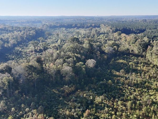 Hwy 15, Union, MS 39365