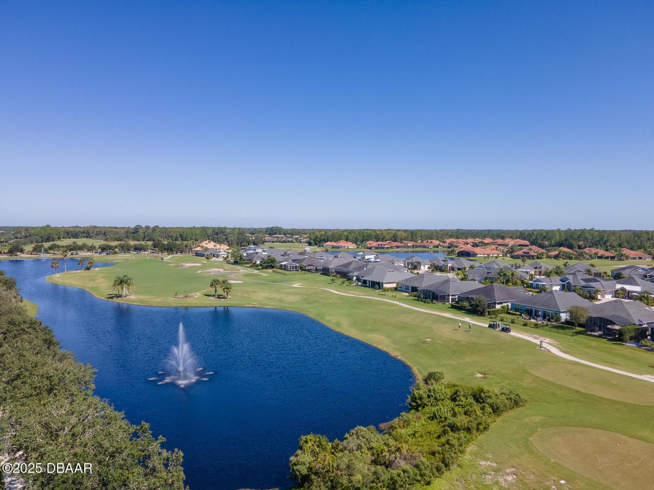 3106 Borassus Drive, New Smyrna Beach, FL 32168 Photo