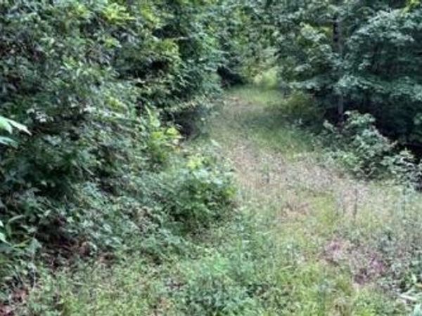 0 Trackrock Gap Road, Blairsville, GA 30512