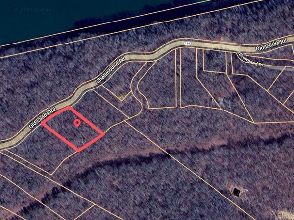 0 Highway 156, Guild, TN 37340