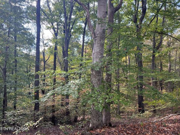 0 Brady Rd, Newport, TN 37821