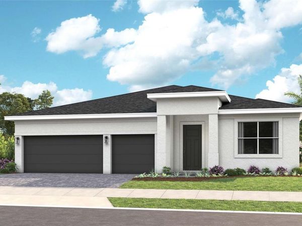 393 DOUGLAS HILL DRIVE, LADY LAKE, FL 32159