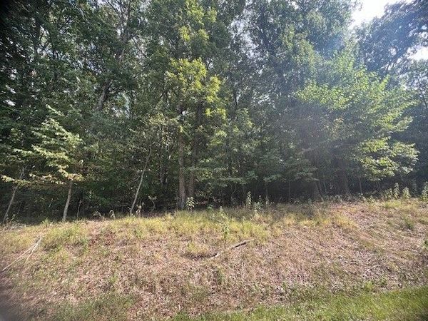 11 Tempest Lane, Holiday Island, AR 72631