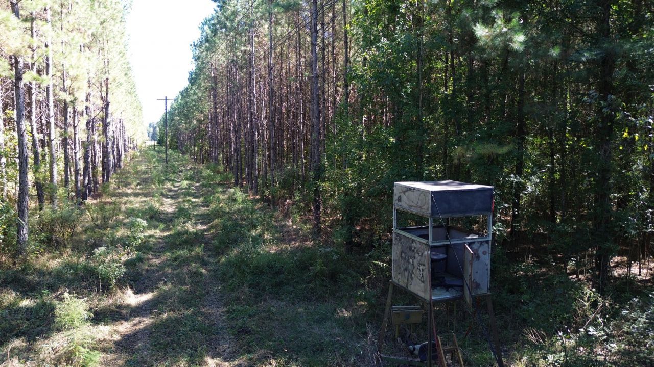 Hwy 46, Cedarbluff, MS 39741 Main Photo