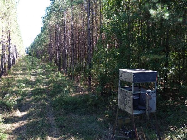 HWY 46, Cedar Bluff, MS 39741