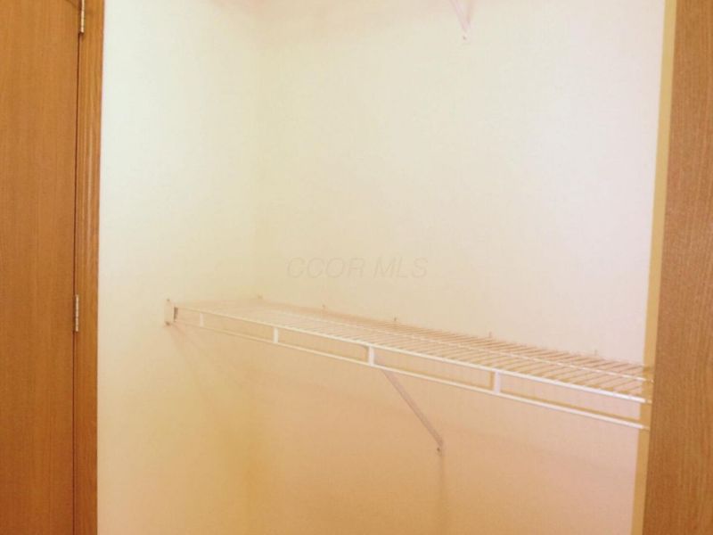 6081 Warbling Lane, Westerville, OH 43081 Photo 17