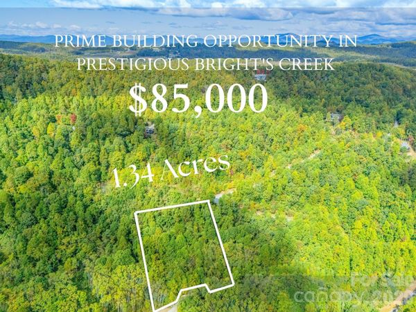000 Nottingham Drive, Mill Spring, NC 28756