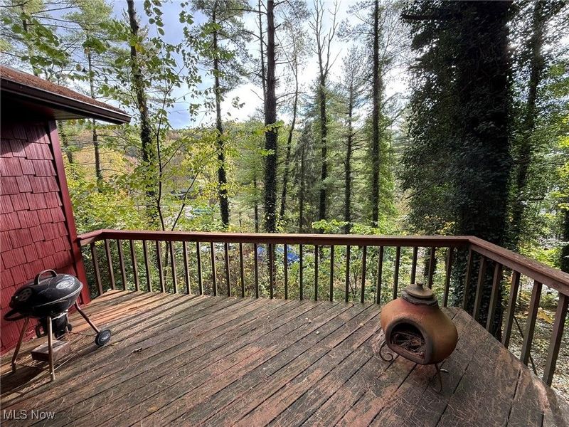 86603 N Bay Road, Scio, OH 43988 Photo 18