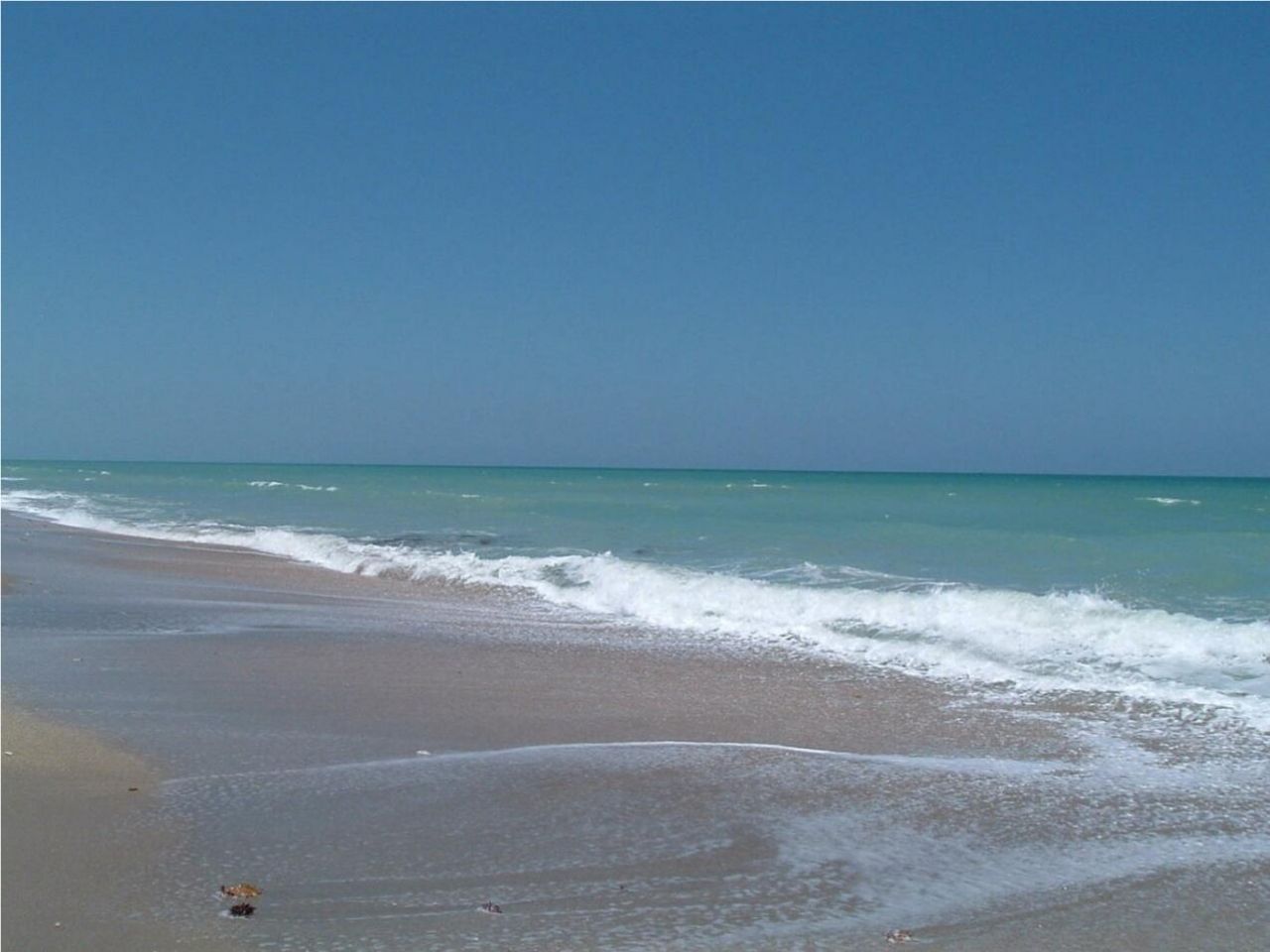 355 S Ocean Drive, Unit P-806, Fort Pierce, FL 34949 Photo