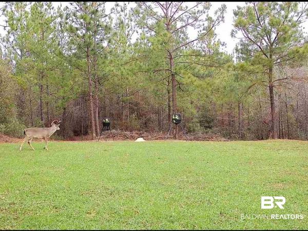 58979 Jack Springs Road, Perdido, AL 36562