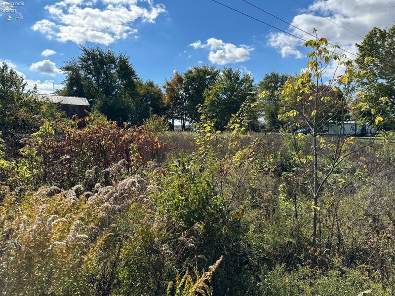 8700 S SR RT 4, Carrothers, OH 44807 Photo 5