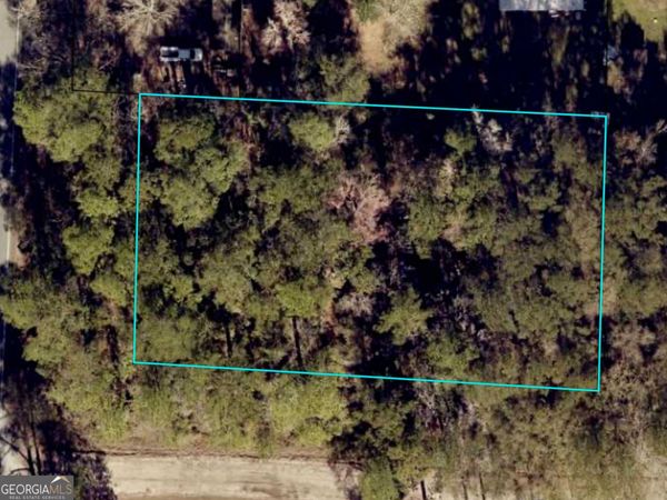 0 US Highway 17, Waverly, GA 31565