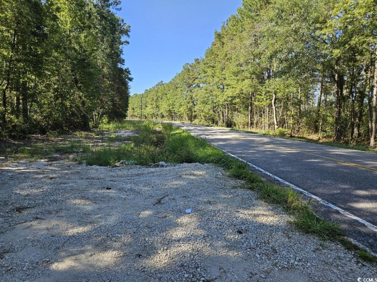 2997 Highway 50 Photo 4