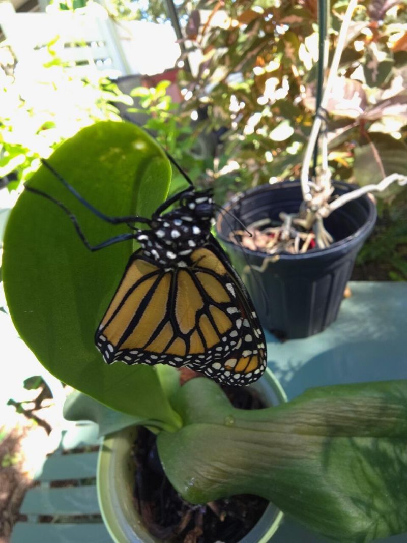 211 120th Street Gulf, Unit B, Marathon, FL 33050 Photo