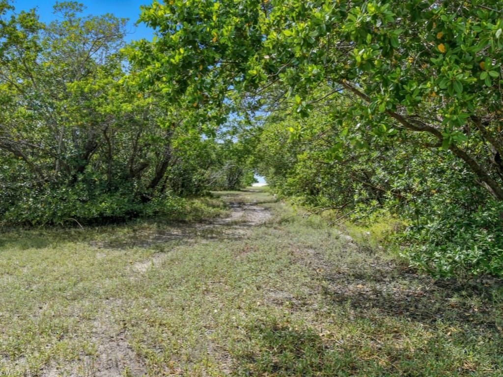 11799 Keewaydin, Naples, FL 34113 Photo
