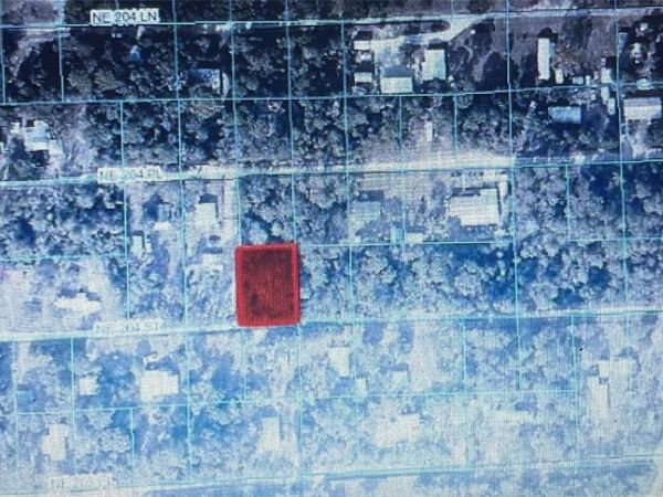 TBD NE NE 204TH STREET, FORT MC COY, FL 32134