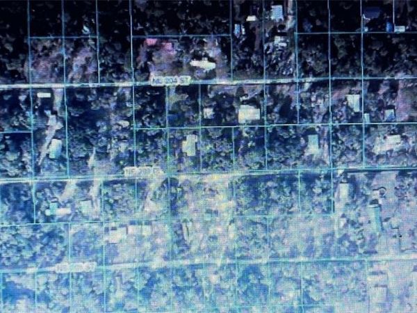 TBD NE 204TH STREET, FORT MC COY, FL 32134