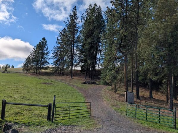 784 Leitch Creek Road, Kooskia, ID 83539