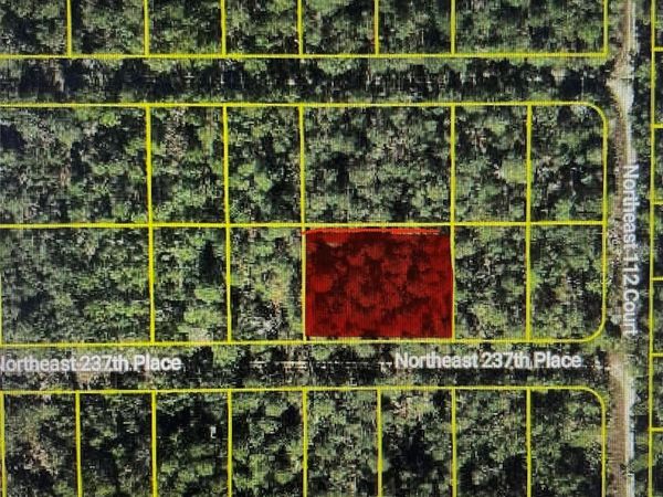 TBD NE 237TH PLACE, FORT MC COY, FL 32134